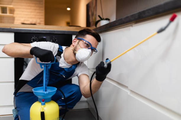 Trusted Gulfport, FL Pest Control Experts