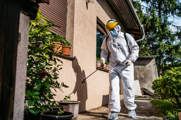 Insect Control in Gulfport, FL