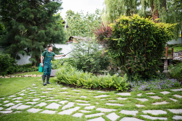 Best Wildlife Control Services  in Gulfport, FL