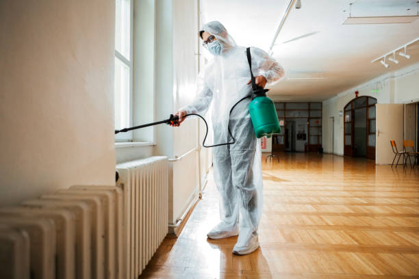 Best Pest Prevention Services  in Gulfport, FL