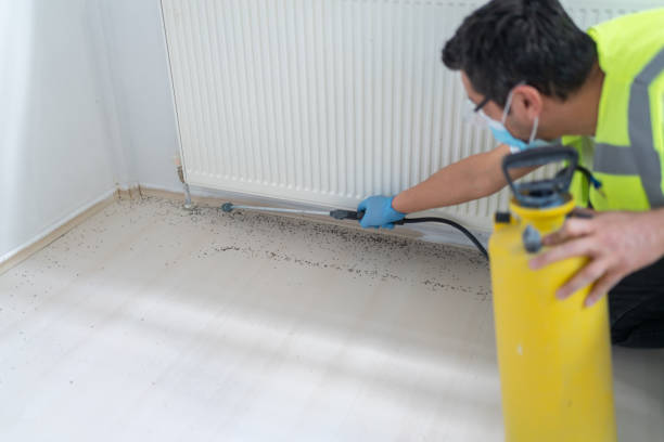 Best Pest Control Near Me in Gulfport, FL